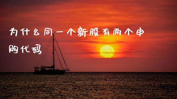 为什么同一个新股有两个申购代码_https://m.letulww.com_股指期货交易时间_第1张