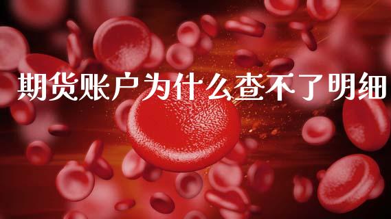 期货账户为什么查不了明细_https://m.letulww.com_期货交易策略_第1张