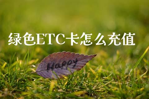 绿色ETC卡怎么充值_https://m.letulww.com_期货交易软件_第1张