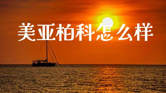 美亚柏科怎么样_https://m.letulww.com_期货交易策略_第1张