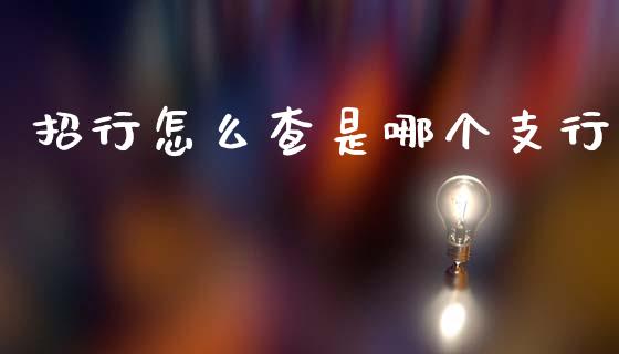 招行怎么查是哪个支行_https://m.letulww.com_期货交易软件_第1张