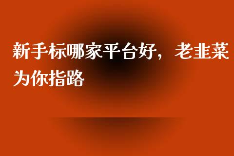新手标哪家平台好，老韭菜为你指路_https://m.letulww.com_期货交易策略_第1张