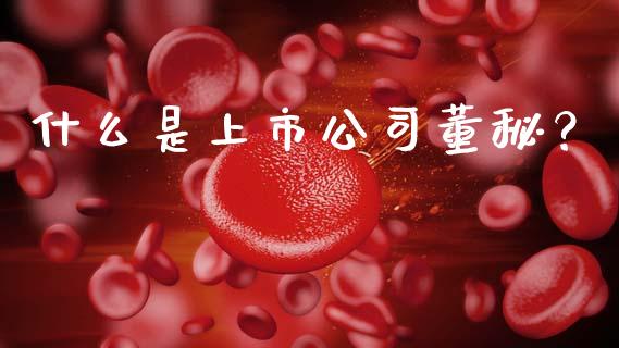 什么是上市公司董秘？_https://m.letulww.com_股指期货交易时间_第1张