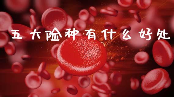 五大险种有什么好处_https://m.letulww.com_股指期货交易时间_第1张