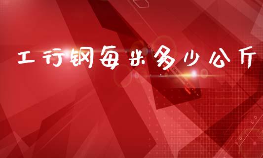 工行钢每米多少公斤_https://m.letulww.com_股指期货交易时间_第1张