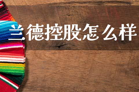 兰德控股怎么样_https://m.letulww.com_期货交易策略_第1张