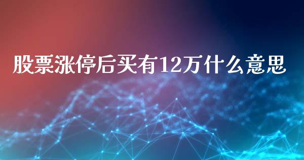 股票涨停后买有12万什么意思_https://m.letulww.com_股指期货交易时间_第1张