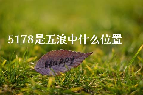 5178是五浪中什么位置_https://m.letulww.com_期货交易软件_第1张