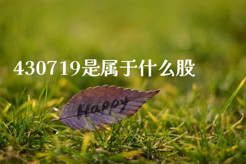 430719是属于什么股_https://m.letulww.com_期货开户保证金_第1张