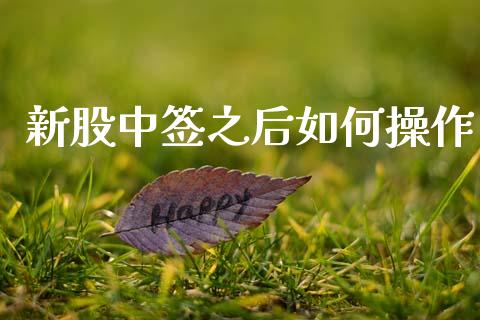 新股中签之后如何操作_https://m.letulww.com_期货开户保证金_第1张