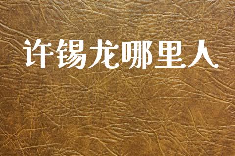 许锡龙哪里人_https://m.letulww.com_期货交易软件_第1张