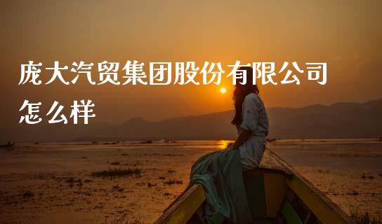庞大汽贸集团股份有限公司怎么样_https://m.letulww.com_期货交易策略_第1张