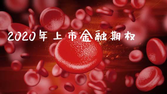 2020年上市金融期权_https://m.letulww.com_股指期货交易时间_第1张