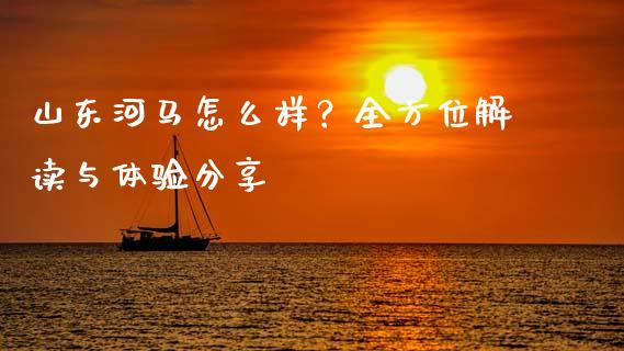 山东河马怎么样？全方位解读与体验分享_https://m.letulww.com_期货开户保证金_第1张