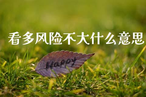 看多风险不大什么意思_https://m.letulww.com_股指期货交易时间_第1张