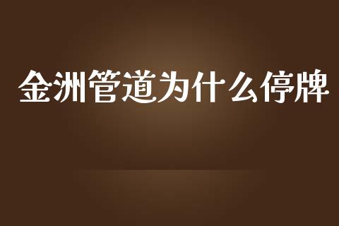 金洲管道为什么停牌_https://m.letulww.com_期货交易策略_第1张
