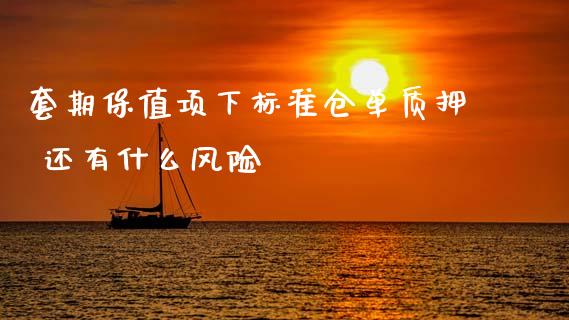 套期保值项下标准仓单质押 还有什么风险_https://m.letulww.com_期货交易策略_第1张