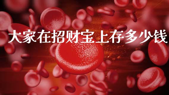 大家在招财宝上存多少钱_https://m.letulww.com_期货开户保证金_第1张