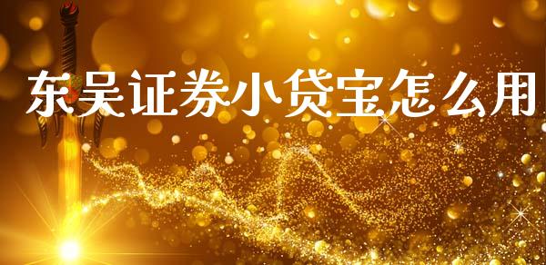 东吴证券小贷宝怎么用_https://m.letulww.com_期货交易策略_第1张