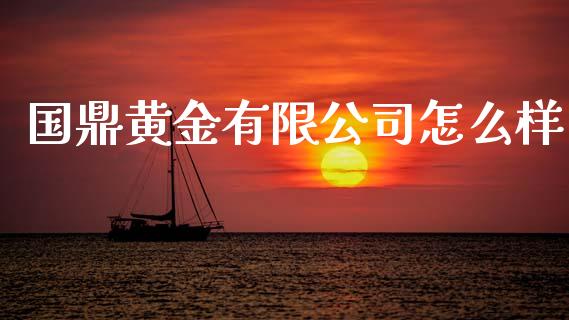 国鼎黄金有限公司怎么样_https://m.letulww.com_期货交易软件_第1张