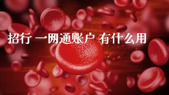 招行 一网通账户 有什么用_https://m.letulww.com_期货交易策略_第1张