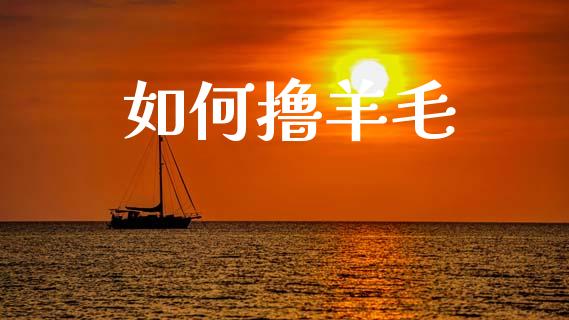 如何撸羊毛_https://m.letulww.com_期货开户保证金_第1张