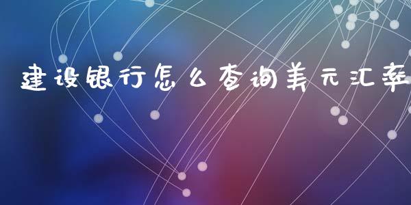 建设银行怎么查询美元汇率_https://m.letulww.com_股指期货交易时间_第1张