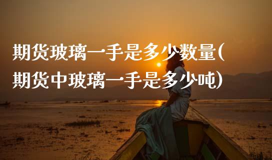 期货玻璃一手是多少数量(期货中玻璃一手是多少吨)_https://m.letulww.com_期货交易策略_第1张