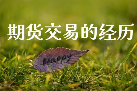 期货交易的经历_https://m.letulww.com_期货开户保证金_第1张