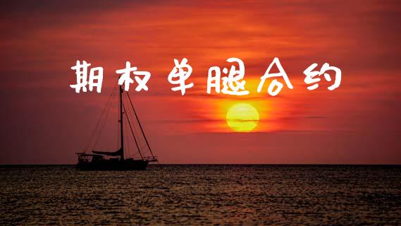 期权单腿合约_https://m.letulww.com_期货开户保证金_第1张