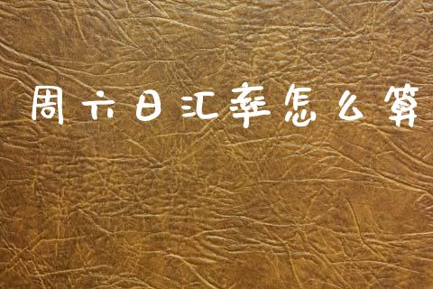 周六日汇率怎么算_https://m.letulww.com_期货交易策略_第1张