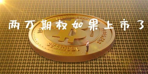 两万期权如果上市了_https://m.letulww.com_期货开户保证金_第1张