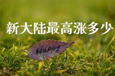 新大陆最高涨多少_https://m.letulww.com_期货交易软件_第1张