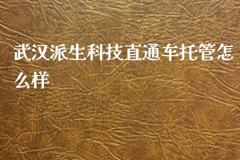 武汉派生科技直通车托管怎么样_https://m.letulww.com_期货交易策略_第1张