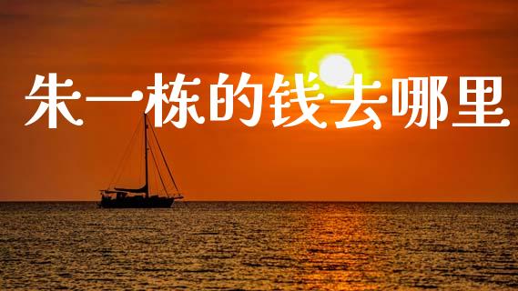 朱一栋的钱去哪里_https://m.letulww.com_股指期货交易时间_第1张