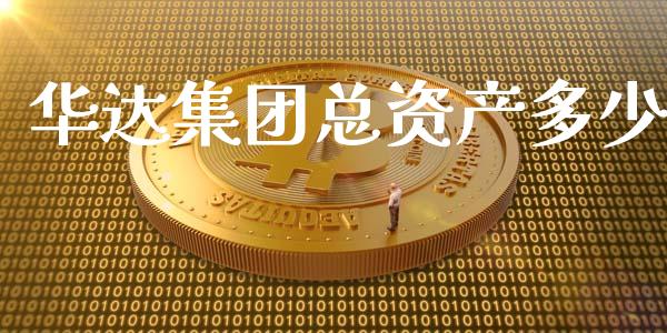 华达集团总资产多少_https://m.letulww.com_期货开户保证金_第1张