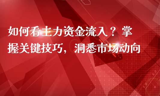 如何看主力资金流入？ 掌握关键技巧，洞悉市场动向_https://m.letulww.com_股指期货交易时间_第1张