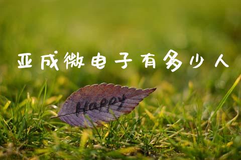亚成微电子有多少人_https://m.letulww.com_期货开户保证金_第1张