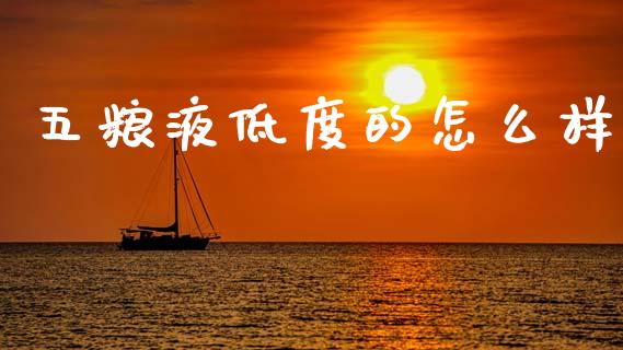 五粮液低度的怎么样_https://m.letulww.com_期货开户保证金_第1张