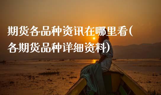 期货各品种资讯在哪里看(各期货品种详细资料)_https://m.letulww.com_期货开户保证金_第1张