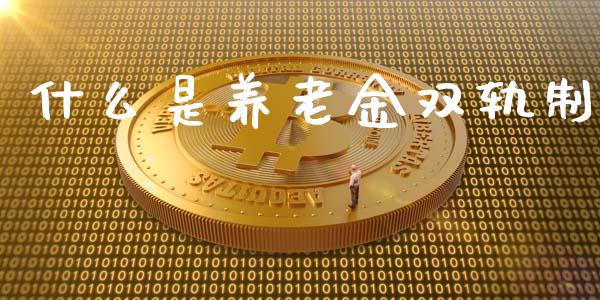 什么是养老金双轨制_https://m.letulww.com_期货开户保证金_第1张