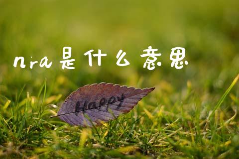 nra是什么意思_https://m.letulww.com_期货交易软件_第1张