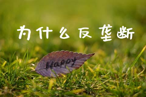 为什么反垄断_https://m.letulww.com_期货交易策略_第1张