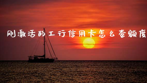 刚激活的工行信用卡怎么查额度_https://m.letulww.com_期货交易软件_第1张