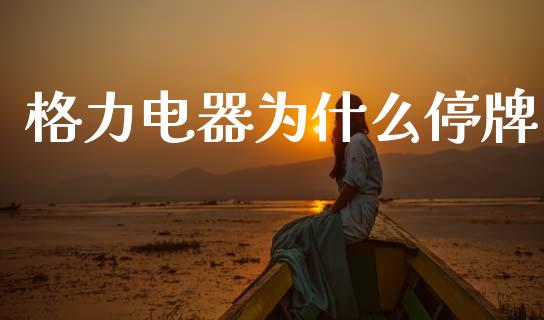 格力电器为什么停牌_https://m.letulww.com_期货交易软件_第1张