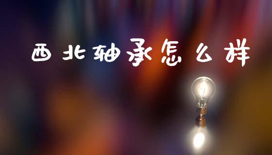 西北轴承怎么样_https://m.letulww.com_期货交易软件_第1张