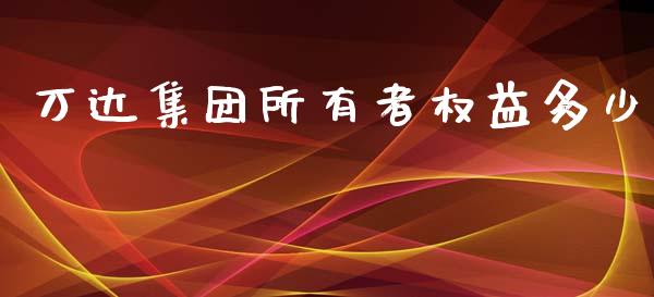 万达集团所有者权益多少_https://m.letulww.com_期货交易策略_第1张