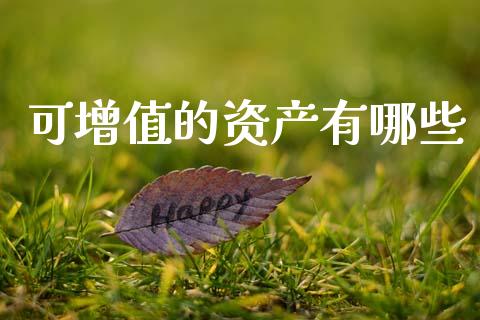 可增值的资产有哪些_https://m.letulww.com_期货开户保证金_第1张