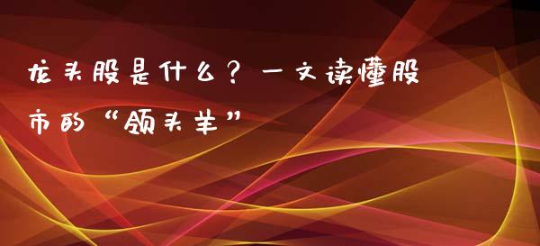 龙头股是什么？一文读懂股市的“领头羊”_https://m.letulww.com_期货开户保证金_第1张