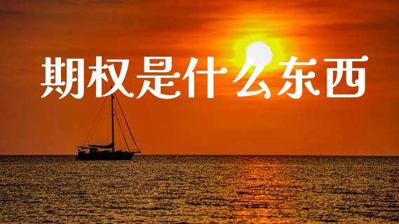 期权是什么东西_https://m.letulww.com_期货交易策略_第1张